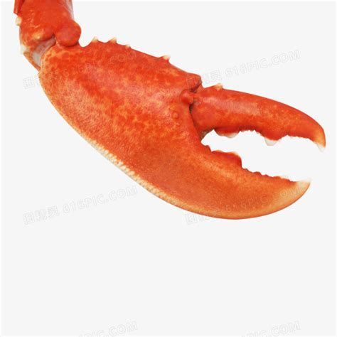 龍魚在魚缸底部游多久需要換水？，健康龍魚通常游動活躍，底部停留時間過長需警惕水質問題 龍魚在魚缸底部游多久需要換水？，健康龍魚通常游動活躍，底部停留時間過長需警惕水質問題 龍魚百科