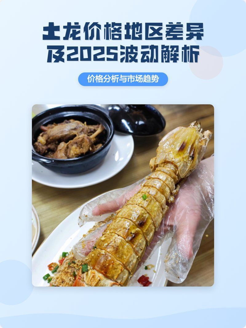 土龍魚的市場價格，土龍魚價格地區差異及2025波動解析 土龍魚的市場價格，土龍魚價格地區差異及2025波動解析 龍魚百科 第3張