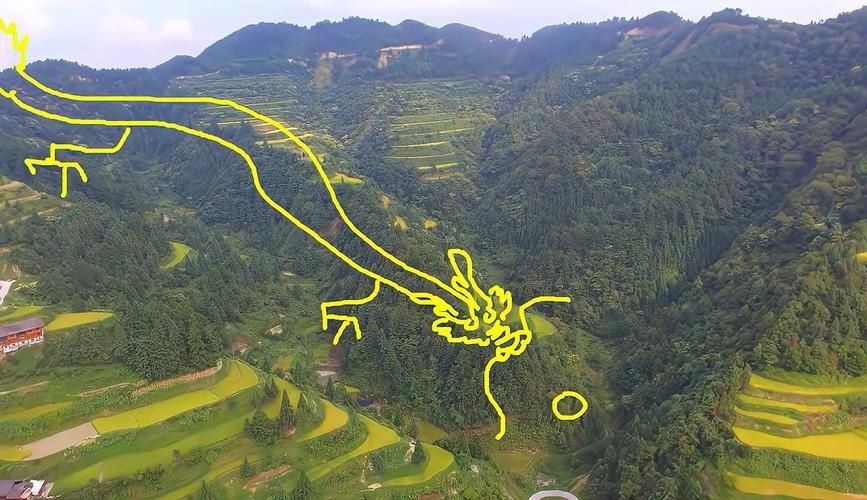 能提供更多龍形地的風(fēng)水圖片嗎，什么是龍形地 能提供更多龍形地的風(fēng)水圖片嗎，什么是龍形地 龍魚(yú)百科 第24張