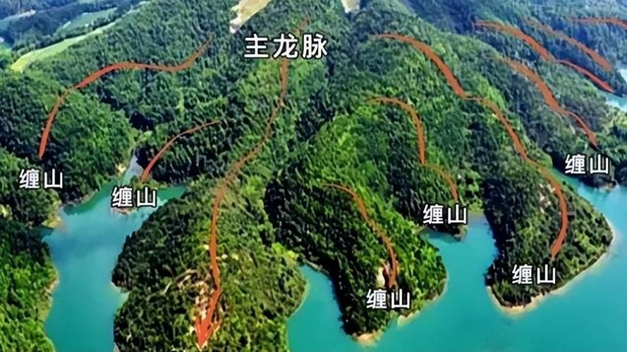 能提供更多龍形地的風(fēng)水圖片嗎,什么是龍形地 龍魚(yú)百科 第17張 能提供更多龍形地的風(fēng)水圖片嗎,什么是龍形地 能提供更多龍形地的風(fēng)水圖片嗎,什么是龍形地 龍魚(yú)百科 第17張