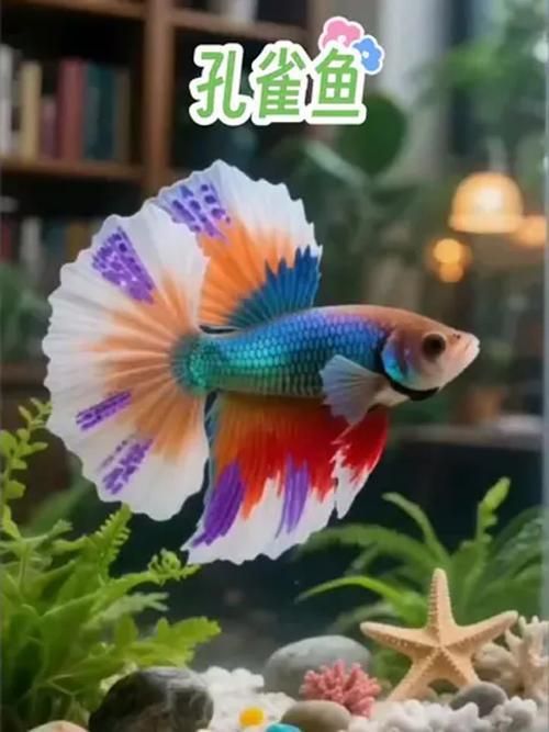 觀賞魚排行榜前十名,觀賞魚排行榜前十名是什么? 龍魚百科 第5張 觀賞魚排行榜前十名,觀賞魚排行榜前十名是什么? 觀賞魚排行榜前十名,觀賞魚排行榜前十名是什么? 龍魚百科 第5張
