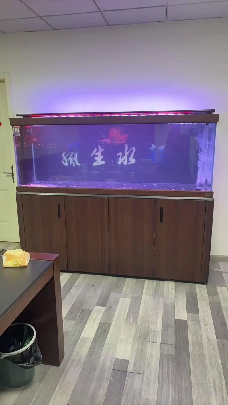 能提供龍魚缸十大名牌排行榜的具體圖片嗎?,龍魚缸十大名牌排行榜 龍魚百科 第15張 能提供龍魚缸十大名牌排行榜的具體圖片嗎?,龍魚缸十大名牌排行榜 能提供龍魚缸十大名牌排行榜的具體圖片嗎?,龍魚缸十大名牌排行榜 龍魚百科 第15張