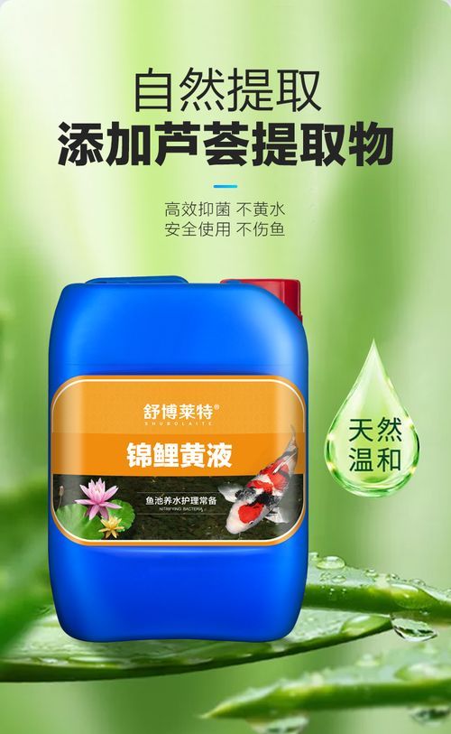 備能、瑪豆、湯本臣等品牌的龍魚藥哪個(gè)最好？，備能、瑪豆、湯本臣龍魚藥綜合評估 備能、瑪豆、湯本臣等品牌的龍魚藥哪個(gè)最好？，備能、瑪豆、湯本臣龍魚藥綜合評估 龍魚百科 第2張