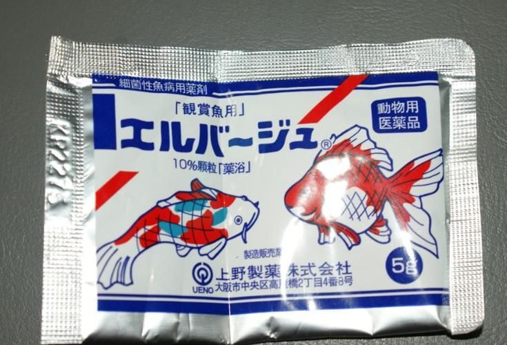 備能、瑪豆、湯本臣等品牌的龍魚藥哪個(gè)最好？，備能、瑪豆、湯本臣龍魚藥綜合評估 備能、瑪豆、湯本臣等品牌的龍魚藥哪個(gè)最好？，備能、瑪豆、湯本臣龍魚藥綜合評估 龍魚百科 第1張
