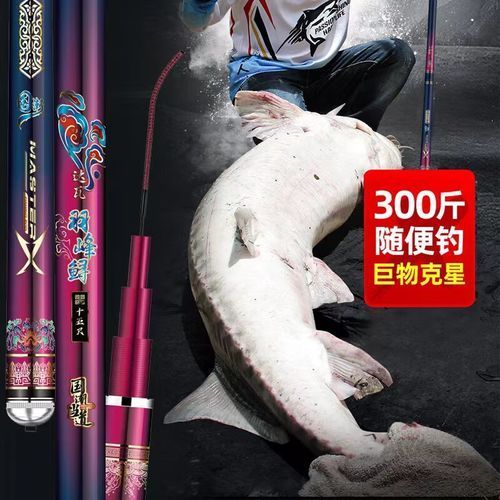 帝龍魚竿的材質是什么？，帝龍魚竿各系列材質與適用場景對照表 帝龍魚竿的材質是什么？，帝龍魚竿各系列材質與適用場景對照表 龍魚百科 第2張