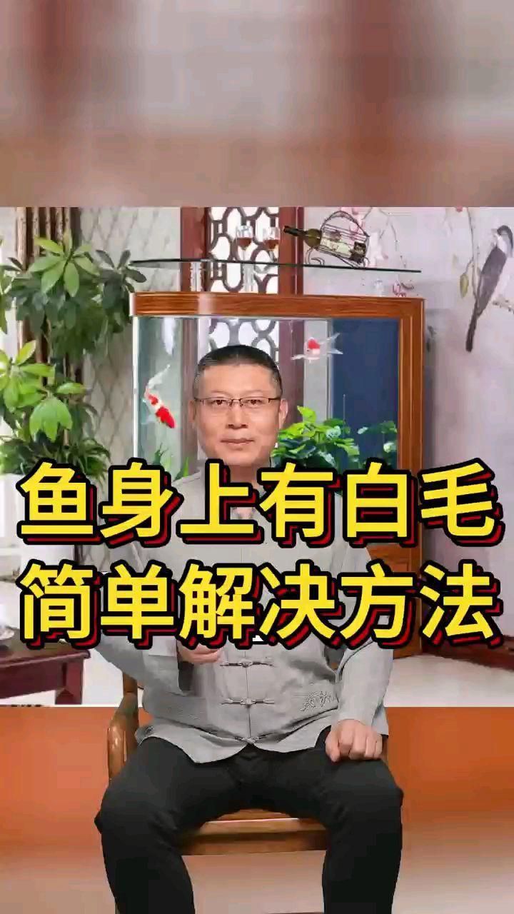 魚長白毛，魚身上出現白毛的原因與解決方法