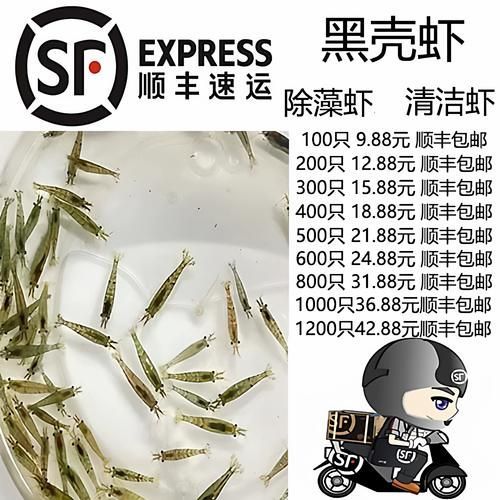如何預防龍魚內臟受傷，arxiv論文助手arxiv論文助手arxiv論文arxiv論文助手 如何預防龍魚內臟受傷，arxiv論文助手arxiv論文助手arxiv論文arxiv論文助手 龍魚百科 第12張