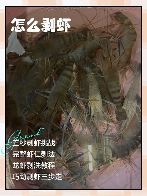 如何預防龍魚內臟受傷，arxiv論文助手arxiv論文助手arxiv論文arxiv論文助手 如何預防龍魚內臟受傷，arxiv論文助手arxiv論文助手arxiv論文arxiv論文助手 龍魚百科 第10張