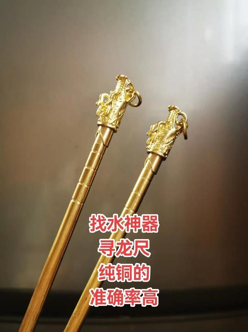 如何預防龍魚內臟受傷，arxiv論文助手arxiv論文助手arxiv論文arxiv論文助手 如何預防龍魚內臟受傷，arxiv論文助手arxiv論文助手arxiv論文arxiv論文助手 龍魚百科 第6張