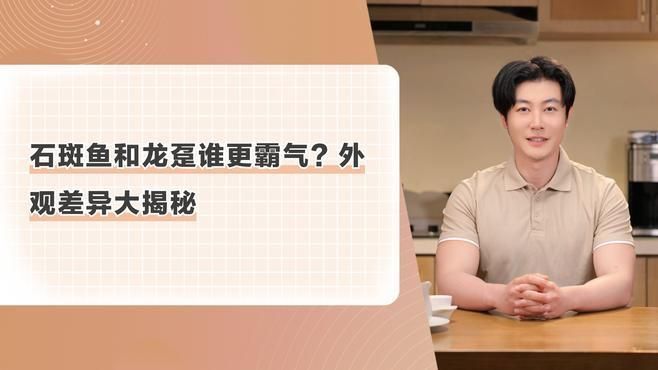 如何區分龍躉魚和石斑魚，龍躉魚和石斑魚哪個更貴，如何區分龍躉魚和石斑魚苗 如何區分龍躉魚和石斑魚，龍躉魚和石斑魚哪個更貴，如何區分龍躉魚和石斑魚苗 龍魚百科 第2張