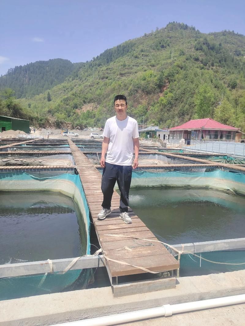 翁源龍魚的市場需求如何？ 翁源龍魚的市場需求如何？ 龍魚百科 第4張