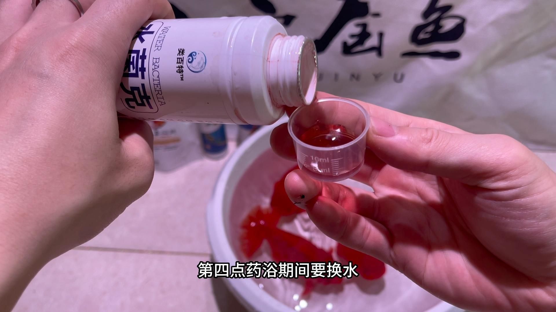 有哪些常用觀賞魚藥物 有哪些常用觀賞魚藥物 龍魚百科 第2張