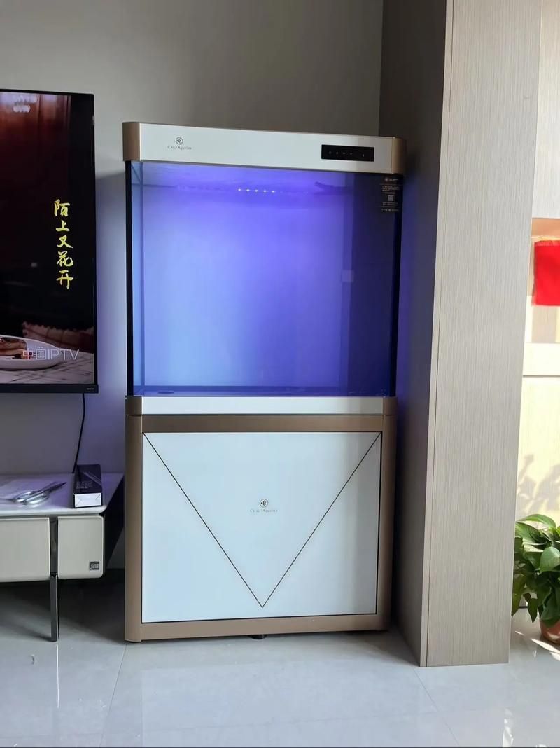 如何判斷一個(gè)龍魚魚缸的品牌聲譽(yù)?,如何判斷一個(gè)龍魚魚缸品牌聲譽(yù)? 龍魚百科 第14張 如何判斷一個(gè)龍魚魚缸的品牌聲譽(yù)?,如何判斷一個(gè)龍魚魚缸品牌聲譽(yù)? 如何判斷一個(gè)龍魚魚缸的品牌聲譽(yù)?,如何判斷一個(gè)龍魚魚缸品牌聲譽(yù)? 龍魚百科 第14張