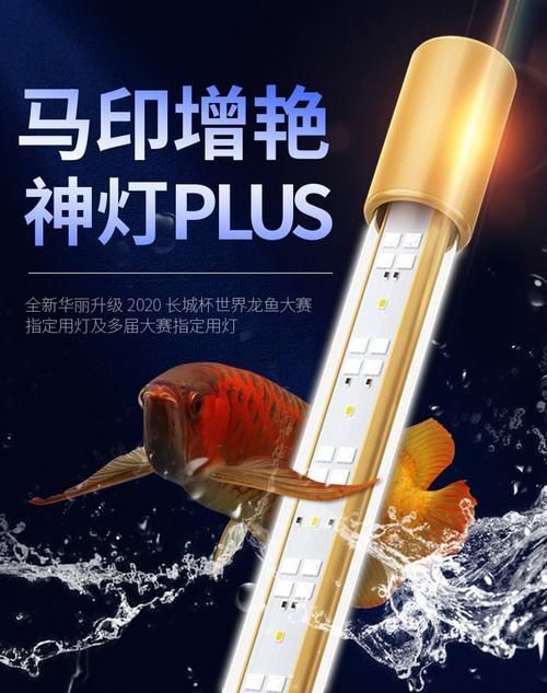 如何選擇適合紅龍的燈光品牌 如何選擇適合紅龍的燈光品牌 龍魚百科 第4張
