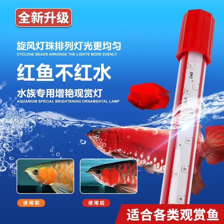 如何選擇適合紅龍的燈光品牌 如何選擇適合紅龍的燈光品牌 龍魚百科 第3張