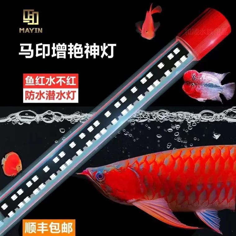 如何選擇適合紅龍的燈光品牌 如何選擇適合紅龍的燈光品牌 龍魚百科 第5張