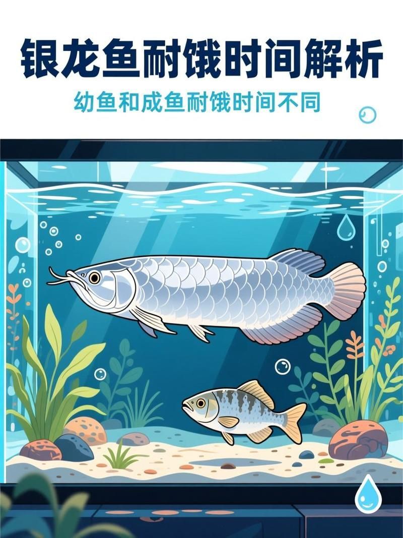 龍魚不吃食可以持續多久？，龍魚不吃食可以持續多久， 龍魚不吃食可以持續多久？，龍魚不吃食可以持續多久， 龍魚百科 第2張