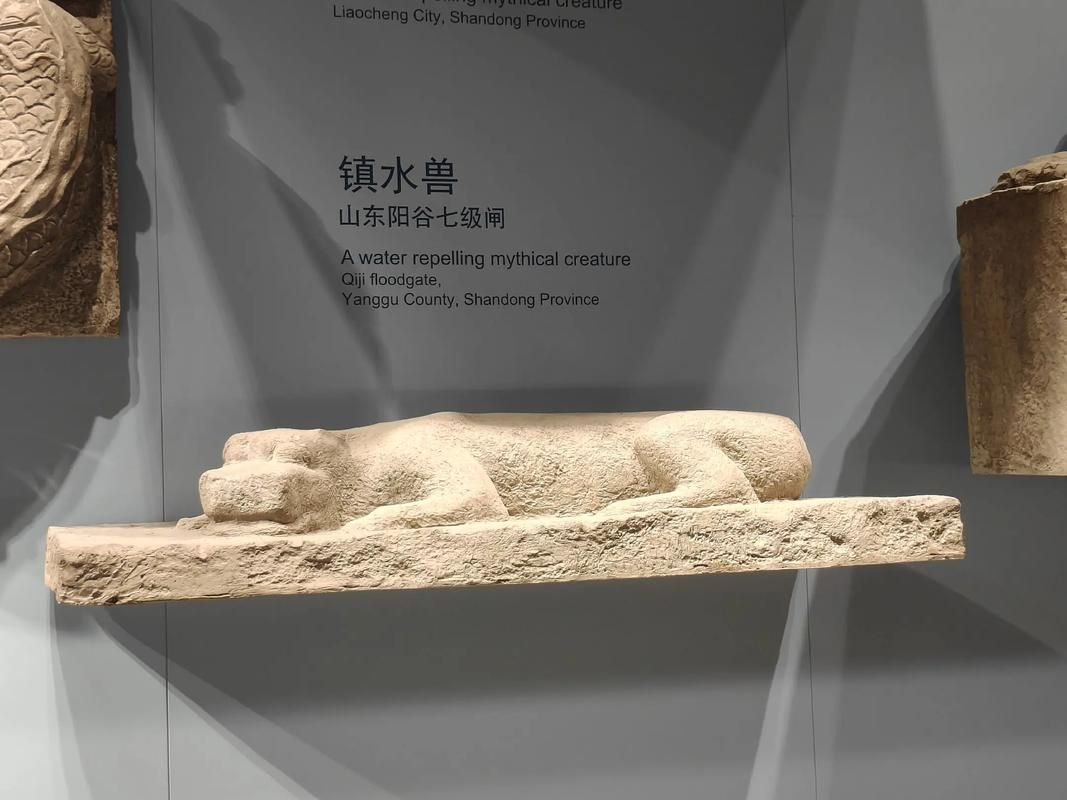 水龍雕塑的材質(zhì)有哪些，水龍雕塑材質(zhì)有哪些 水龍雕塑的材質(zhì)有哪些，水龍雕塑材質(zhì)有哪些 龍魚百科 第6張