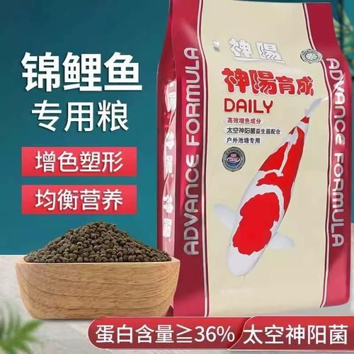 觀賞魚飼料品牌推薦,備受推崇的觀賞魚飼料品牌推薦海洋之星oceanstar 龍魚百科 第2張 觀賞魚飼料品牌推薦,備受推崇的觀賞魚飼料品牌推薦海洋之星oceanstar 觀賞魚飼料品牌推薦,備受推崇的觀賞魚飼料品牌推薦海洋之星oceanstar 龍魚百科 第2張