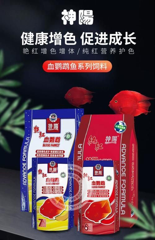 觀賞魚飼料品牌推薦,備受推崇的觀賞魚飼料品牌推薦海洋之星oceanstar 龍魚百科 第6張 觀賞魚飼料品牌推薦,備受推崇的觀賞魚飼料品牌推薦海洋之星oceanstar 觀賞魚飼料品牌推薦,備受推崇的觀賞魚飼料品牌推薦海洋之星oceanstar 龍魚百科 第6張