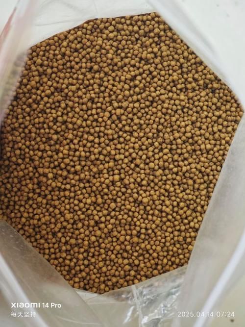 觀賞魚飼料品牌推薦,備受推崇的觀賞魚飼料品牌推薦海洋之星oceanstar 龍魚百科 第17張 觀賞魚飼料品牌推薦,備受推崇的觀賞魚飼料品牌推薦海洋之星oceanstar 觀賞魚飼料品牌推薦,備受推崇的觀賞魚飼料品牌推薦海洋之星oceanstar 龍魚百科 第17張