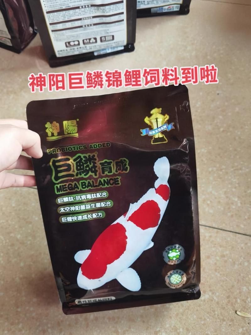 觀賞魚飼料品牌推薦，備受推崇的觀賞魚飼料品牌推薦海洋之星oceanstar