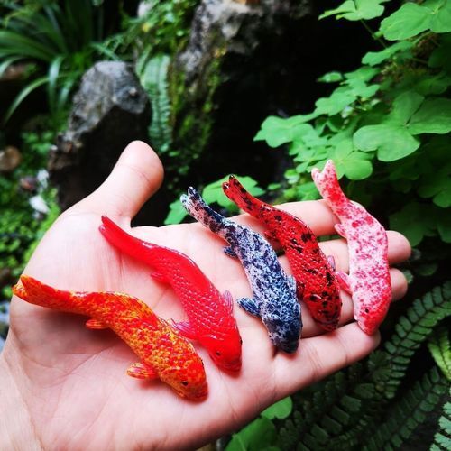 有哪些材質的魚擺件,魚擺件材質多樣材質多樣陶瓷魚擺件材質詳解 龍魚百科 第7張 有哪些材質的魚擺件,魚擺件材質多樣材質多樣陶瓷魚擺件材質詳解 有哪些材質的魚擺件,魚擺件材質多樣材質多樣陶瓷魚擺件材質詳解 龍魚百科 第7張