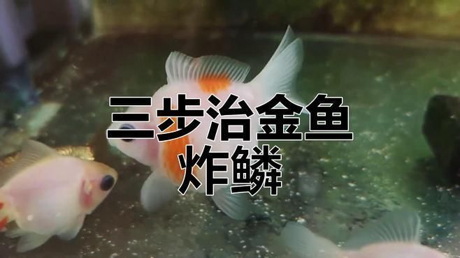 有哪些龍魚疾病是慢性發(fā)展的，龍魚慢性疾病是慢性發(fā)展的，如何預防龍魚慢性疾病及其詳細解析 有哪些龍魚疾病是慢性發(fā)展的，龍魚慢性疾病是慢性發(fā)展的，如何預防龍魚慢性疾病及其詳細解析 龍魚百科 第4張