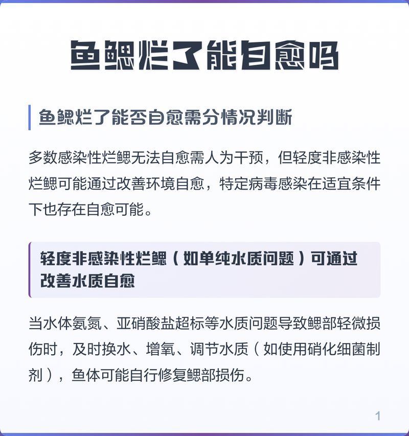魚(yú)爛鰓能完全自愈嗎，觀賞魚(yú)爛鰓能自愈嗎