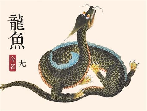 有哪些顏色對龍魚小苗有益處？，龍魚小苗的顏色對其生長和健康至關重要