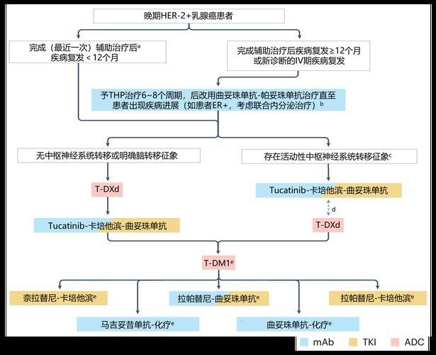 能否提供藥物治療的流程圖，“藥物治療的流程圖”生成的摘要：藥物治療的流程圖 能否提供藥物治療的流程圖，“藥物治療的流程圖”生成的摘要：藥物治療的流程圖 龍魚(yú)百科 第2張