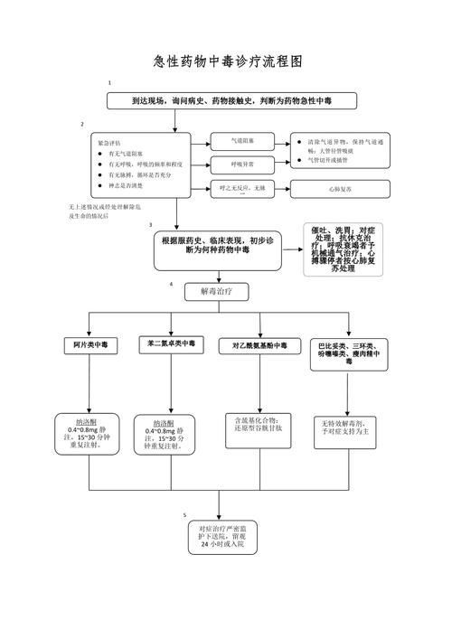 能否提供藥物治療的流程圖，“藥物治療的流程圖”生成的摘要：藥物治療的流程圖 能否提供藥物治療的流程圖，“藥物治療的流程圖”生成的摘要：藥物治療的流程圖 龍魚(yú)百科 第8張