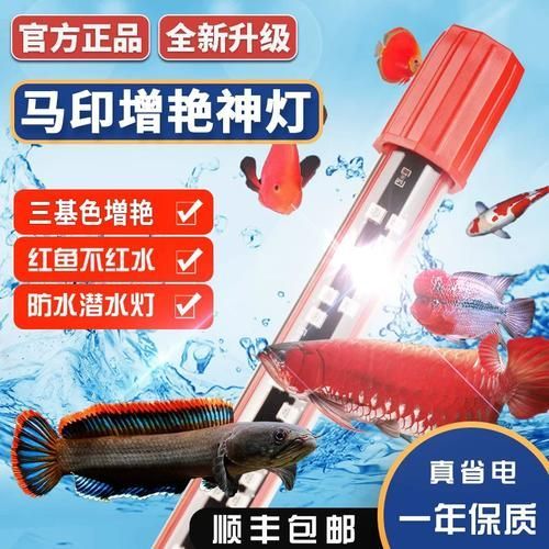 能推薦幾款性價比高的龍魚發色燈嗎?,龍魚發色燈哪個牌子好 龍魚百科 第3張 能推薦幾款性價比高的龍魚發色燈嗎?,龍魚發色燈哪個牌子好 能推薦幾款性價比高的龍魚發色燈嗎?,龍魚發色燈哪個牌子好 龍魚百科 第3張