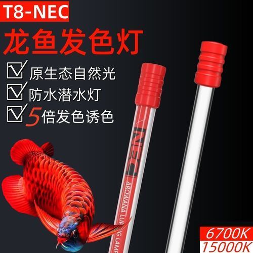 能推薦幾款性價比高的龍魚發色燈嗎?,龍魚發色燈哪個牌子好 龍魚百科 第17張 能推薦幾款性價比高的龍魚發色燈嗎?,龍魚發色燈哪個牌子好 能推薦幾款性價比高的龍魚發色燈嗎?,龍魚發色燈哪個牌子好 龍魚百科 第17張