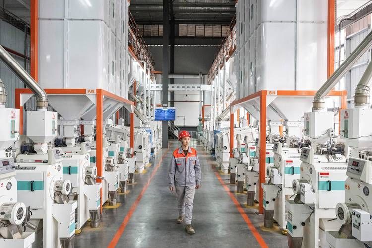 金龍魚廣西工廠的歷史，金龍魚廣西工廠歷史可追溯到20世紀90年代