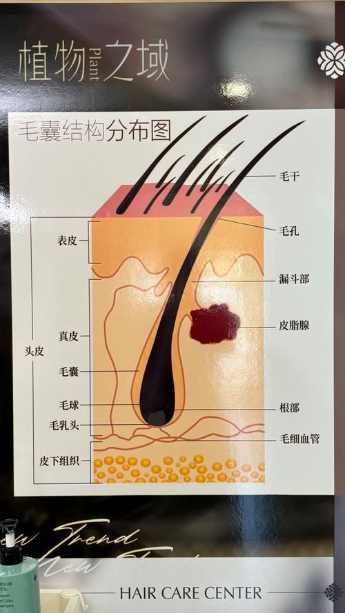 哪些藥物可以有效治療胡須斷裂,關(guān)于胡須斷裂的一些建議 龍魚(yú)百科 第3張 哪些藥物可以有效治療胡須斷裂,關(guān)于胡須斷裂的一些建議 哪些藥物可以有效治療胡須斷裂,關(guān)于胡須斷裂的一些建議 龍魚(yú)百科 第3張