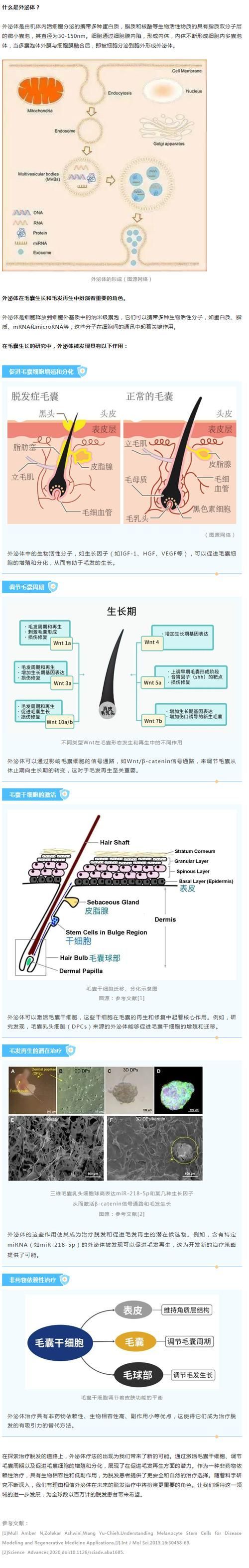 哪些藥物可以有效治療胡須斷裂,關(guān)于胡須斷裂的一些建議 龍魚(yú)百科 第5張 哪些藥物可以有效治療胡須斷裂,關(guān)于胡須斷裂的一些建議 哪些藥物可以有效治療胡須斷裂,關(guān)于胡須斷裂的一些建議 龍魚(yú)百科 第5張