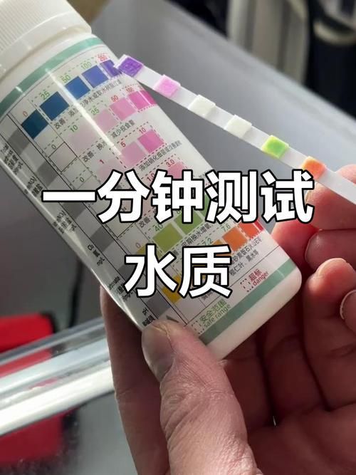 如何改善水質(zhì)以預防爛尾爛鰭病，如何改善爛尾爛鰭病