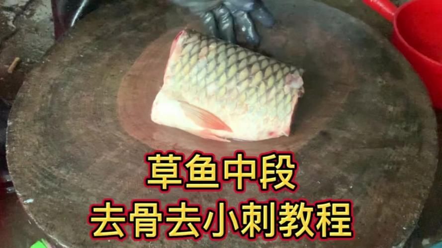 如何安全地食用小魚