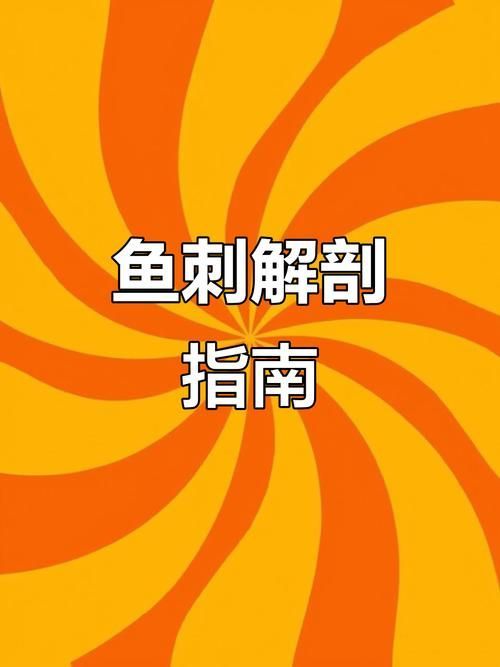 如何安全地食用小魚