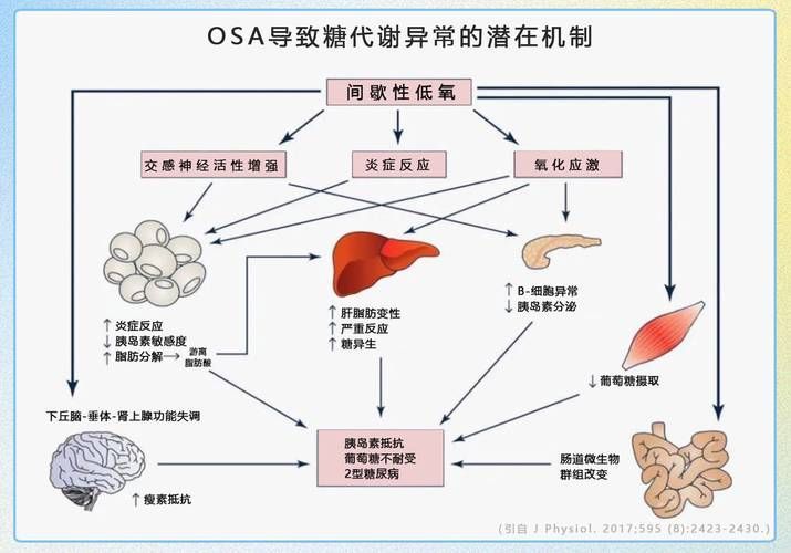 哪些藥物可以聯(lián)合使用，藥物聯(lián)合使用方案 哪些藥物可以聯(lián)合使用，藥物聯(lián)合使用方案 龍魚百科 第4張