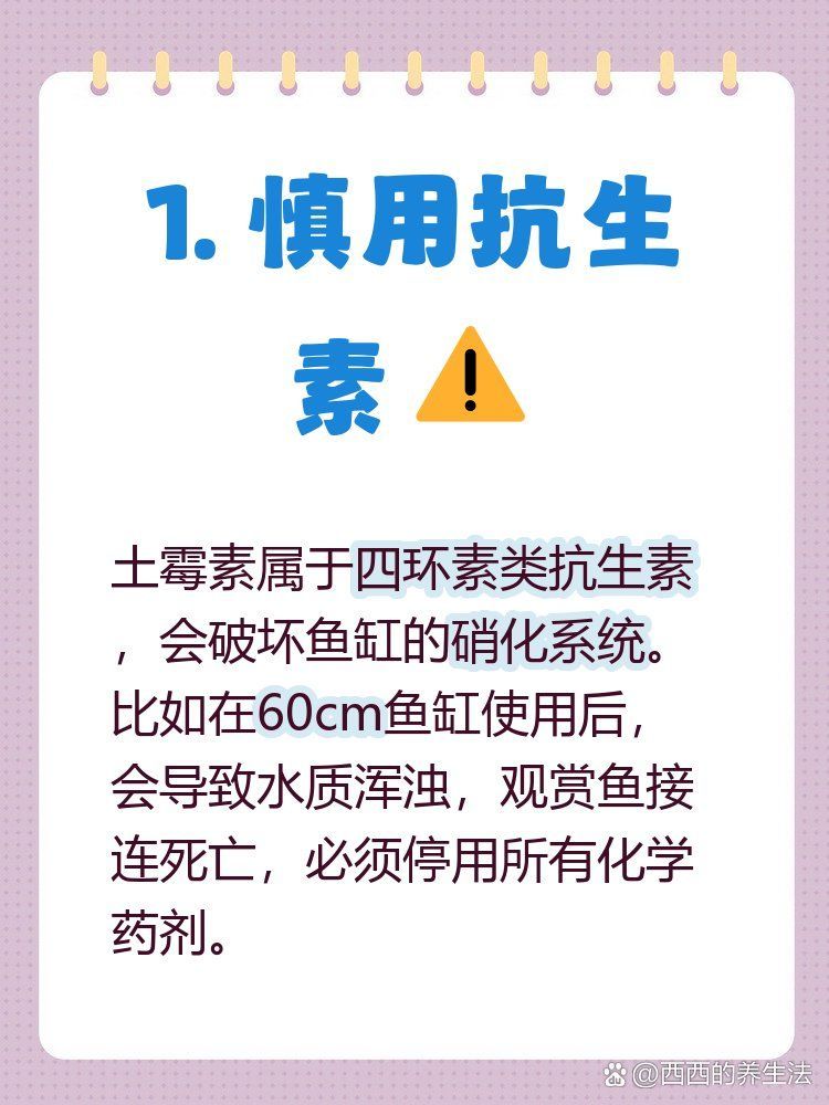 土霉素治療魚炸鱗有副作用嗎，土霉素治療魚炸鱗有副作用嗎土霉素治療魚炸鱗有副作用嗎 土霉素治療魚炸鱗有副作用嗎，土霉素治療魚炸鱗有副作用嗎土霉素治療魚炸鱗有副作用嗎 龍魚百科 第1張