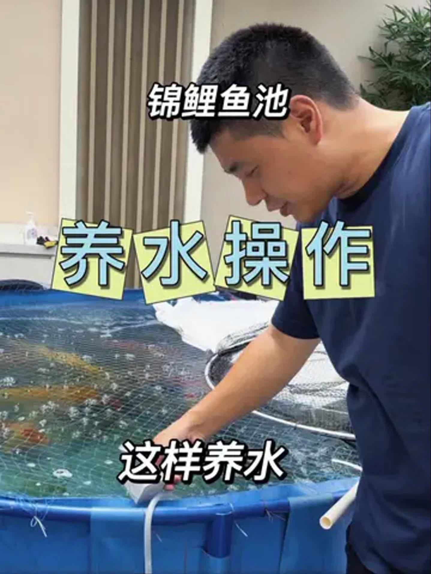 錦鯉扎堆趴缸需要多長時(shí)間恢復(fù)，錦鯉扎堆趴缸后恢復(fù)時(shí)間通常為1到3天 錦鯉扎堆趴缸需要多長時(shí)間恢復(fù)，錦鯉扎堆趴缸后恢復(fù)時(shí)間通常為1到3天 龍魚百科 第1張