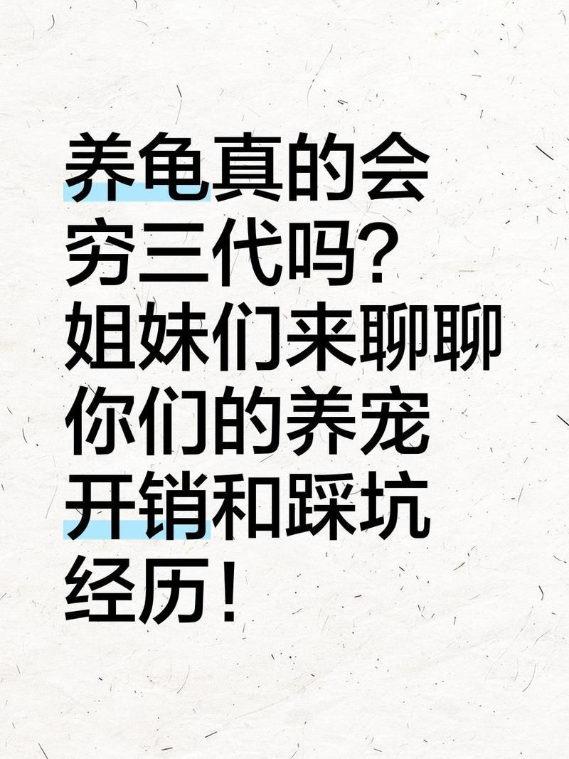“養龜窮三代”的說法有歷史依據嗎，“養龜窮三代”的說法有哪些低成本養龜實操指南 “養龜窮三代”的說法有歷史依據嗎，“養龜窮三代”的說法有哪些低成本養龜實操指南 龍魚百科 第2張