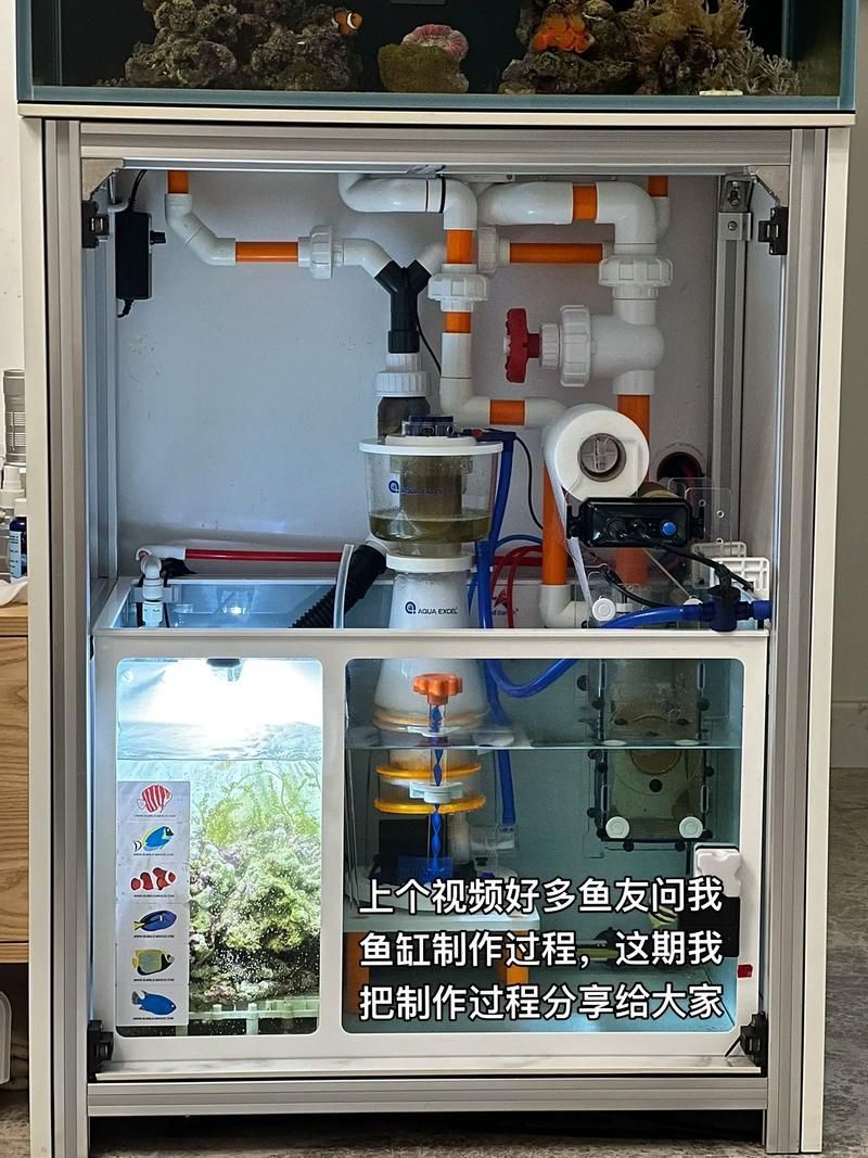 龍魚病逝后如何重建硝化系統,龍魚病逝后如何重建硝化系統思考完成 龍魚百科 第3張 龍魚病逝后如何重建硝化系統,龍魚病逝后如何重建硝化系統思考完成 龍魚病逝后如何重建硝化系統,龍魚病逝后如何重建硝化系統思考完成 龍魚百科 第3張