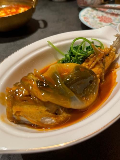 有哪些名貴魚種，關于名貴魚種的詳解 有哪些名貴魚種，關于名貴魚種的詳解 龍魚百科 第13張