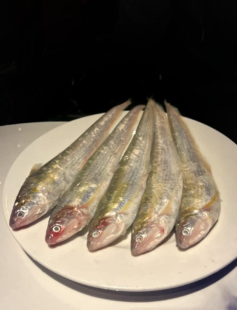 有哪些名貴魚種，關于名貴魚種的詳解 有哪些名貴魚種，關于名貴魚種的詳解 龍魚百科 第11張