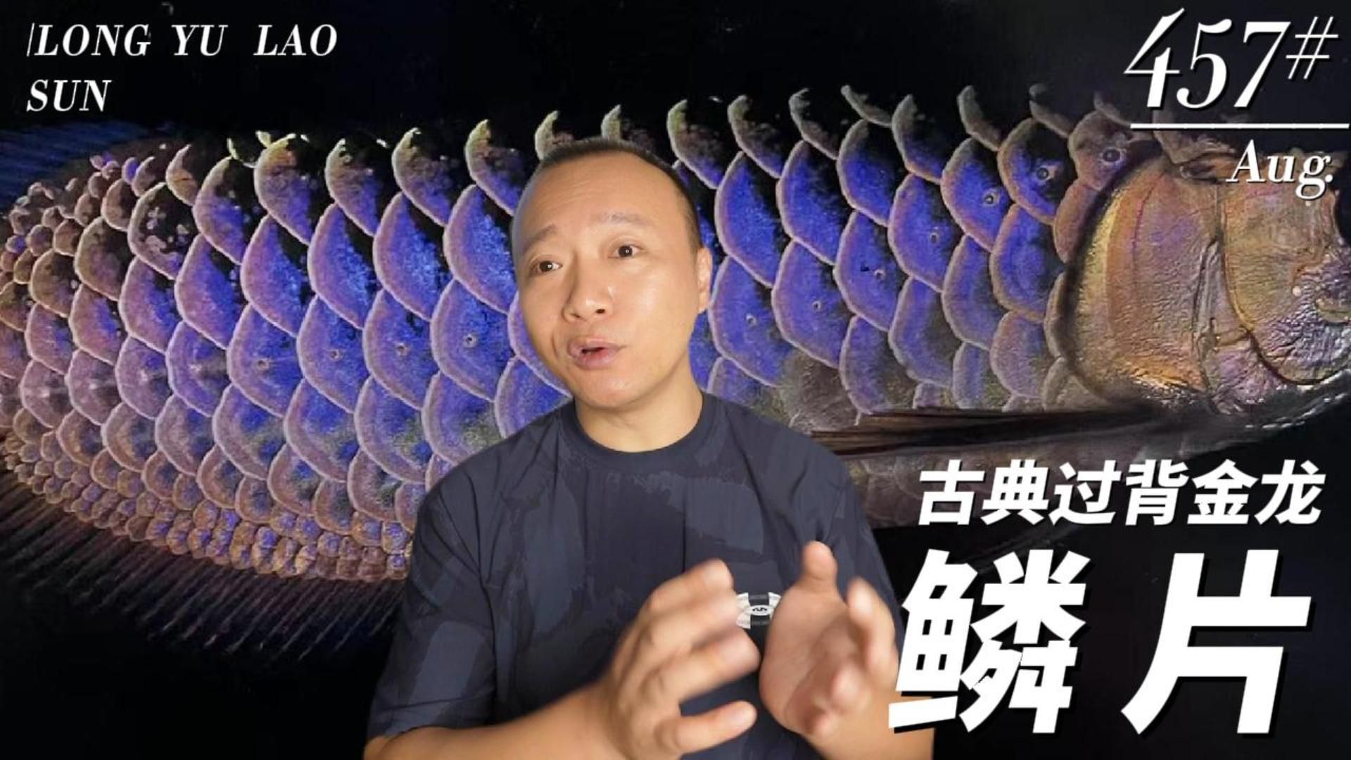 除了白點病，龍魚鱗片還有哪些常見問題？