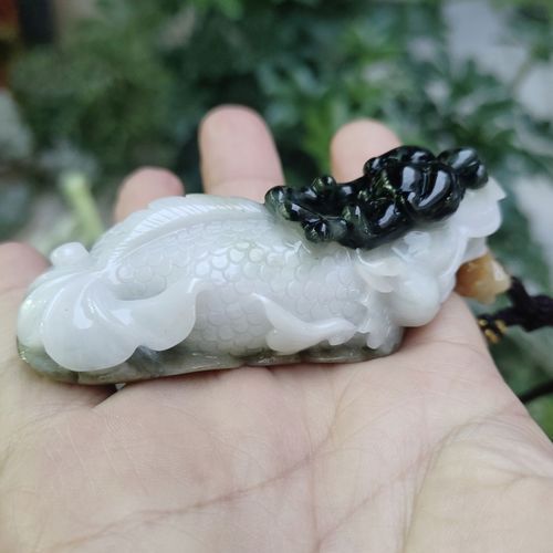 獨(dú)山龍魚(yú)的市場(chǎng)價(jià)格是多少？，獨(dú)山龍魚(yú)的價(jià)格是多少 獨(dú)山龍魚(yú)的市場(chǎng)價(jià)格是多少？，獨(dú)山龍魚(yú)的價(jià)格是多少 龍魚(yú)百科 第1張