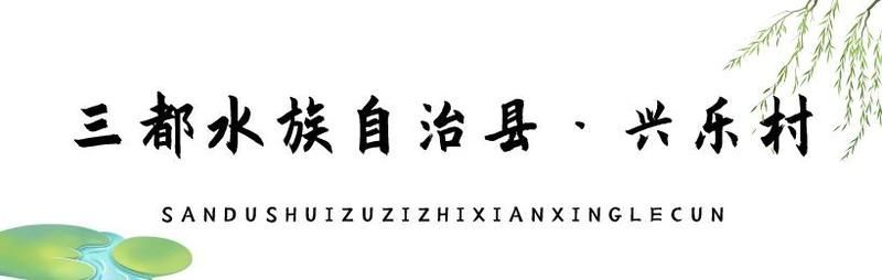 三都龍魚(yú)的特點(diǎn)是什么？，三都龍魚(yú)是什么魚(yú)？ 三都龍魚(yú)的特點(diǎn)是什么？，三都龍魚(yú)是什么魚(yú)？ 龍魚(yú)百科 第12張